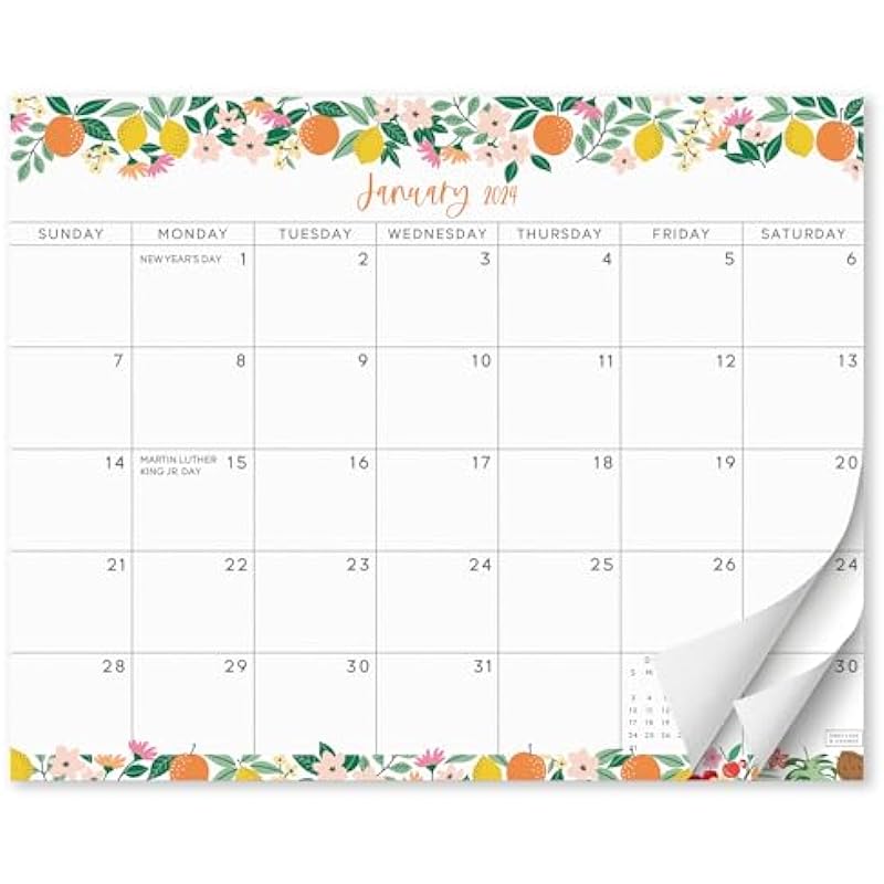 S&O Fruity 2024 Magnetic Fridge Calendar Runs from Now to December 2024 – Tear-Off Refrigerator Calendar to Track Events & Appointments – Magnetic Calendar for Fridge for Easy Planning – 8″x10″ in.