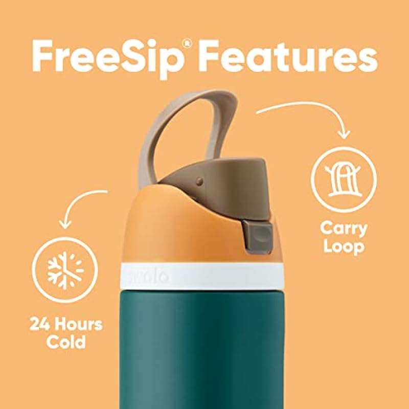 Owala FreeSip Insulated Stainless Steel Water Bottle with Straw for Sports and Travel, BPA-Free, 24-oz, Boneyard