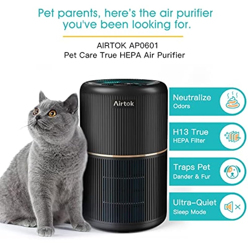 AIRTOK 2Pack Air Purifier for Home Bedroom with H13 True HEPA Filter for Smoke, Smokers, Dust, Odors, Pollen, Pet Dander | Quiet 99.9% Removal to 0.1 Microns | Black, 6.7*6.7*10.3inch