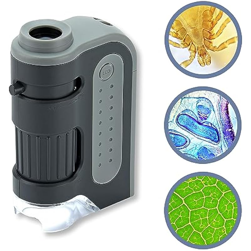 Carson MicroBrite Plus 60x-120x LED Lighted Pocket Microscope (MM-300)