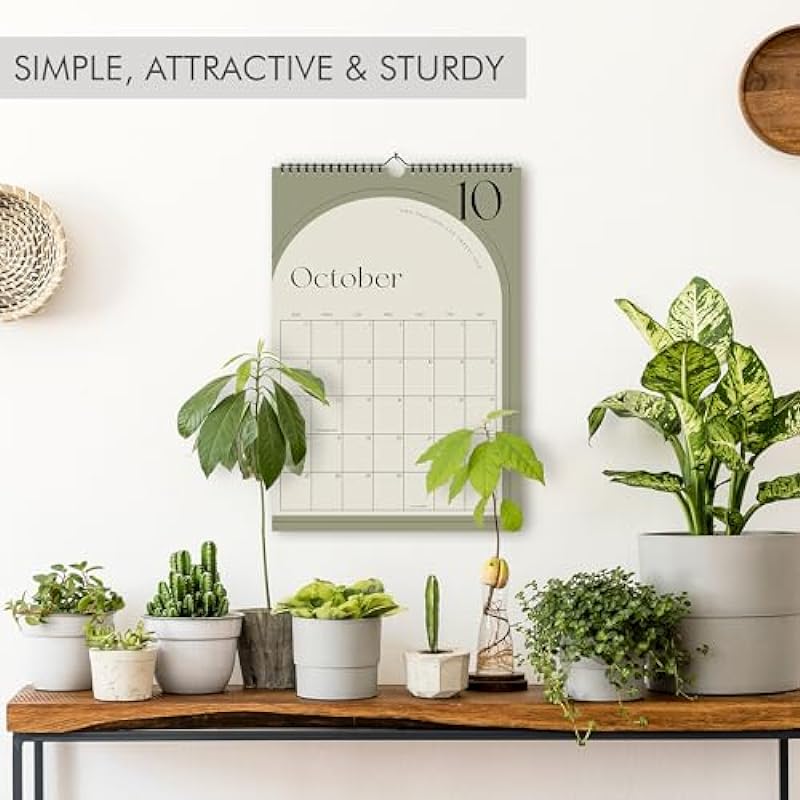 Aesthetic Minimalistic Wall Calendar – Runs from January 2024 Until July 2025 – The Perfect Vertical Monthly Calendar for Easy Organizing