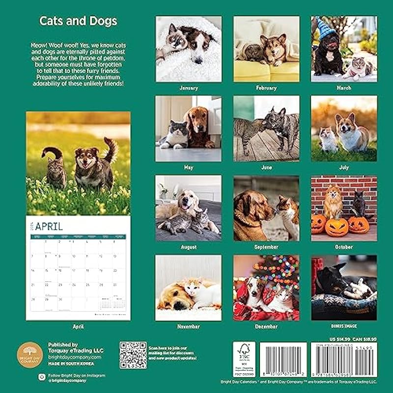 2024 Cats and Dogs Monthly Wall Calendar by Bright Day, 12 x 12 Inch