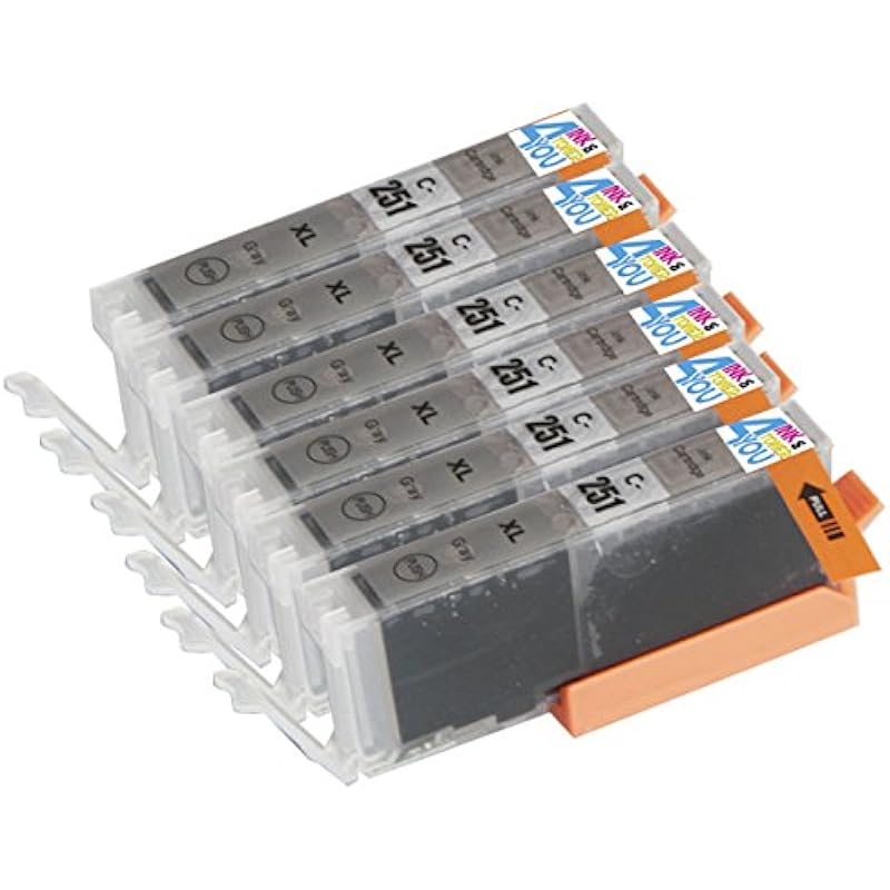 6 Pack – Compatible Ink Cartridges for Canon CLI-251 XL Gray Inkjet Cartridge Compatible With Canon PIXMA MG-5450 MG-5520 MG-6320 MG-6350 MG-6420 MG-7120 MG-7150 iP7250 iP8720 iP8750 (6 Gray) Ink & Toner 4 You ®