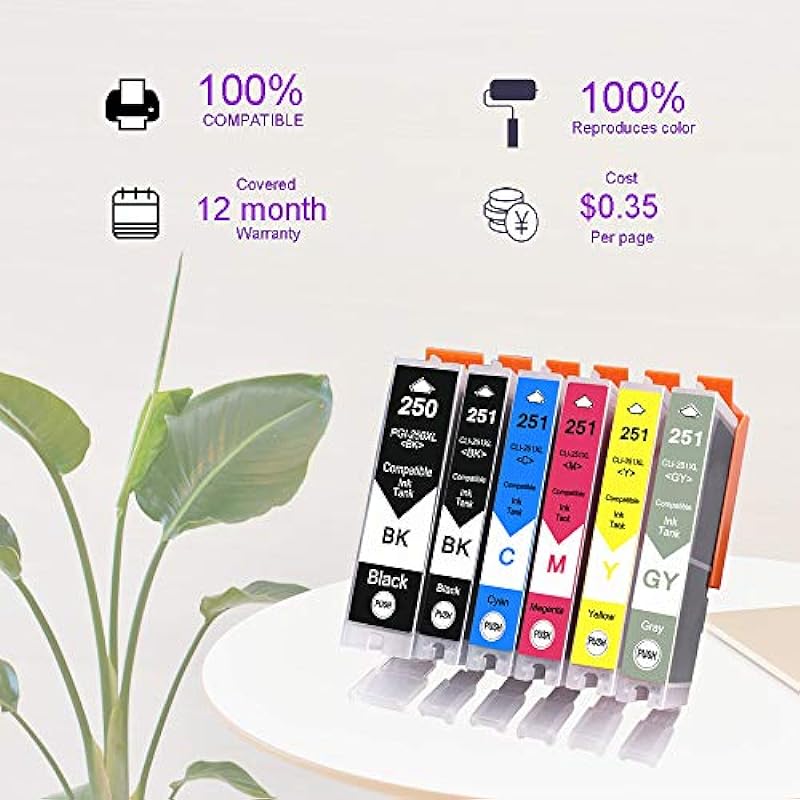 10 Pack – Compatible Ink Cartridges for Canon PGI-250 & CLI-251 XL Inkjet Cartridge Compatible With Canon Pixma MG5420 MG5450 MG5520 MG6320 MG6350 MG6420 MG7120 MX722 MX725 MX922 MX925 iX6820 iX6850 iP7220 iP7250 iP8720 iP8750