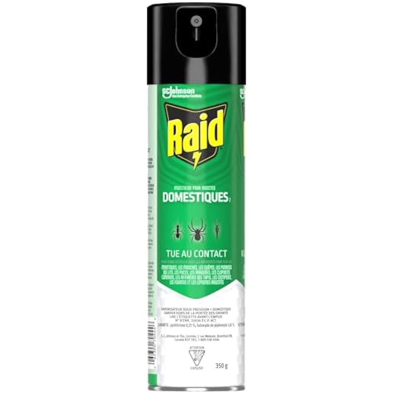 Raid Home Insect Bug Killer and Mosquito Repellent, Kills Listed Bugs on Contact, For Indoor and Outdoor Use, 350g
