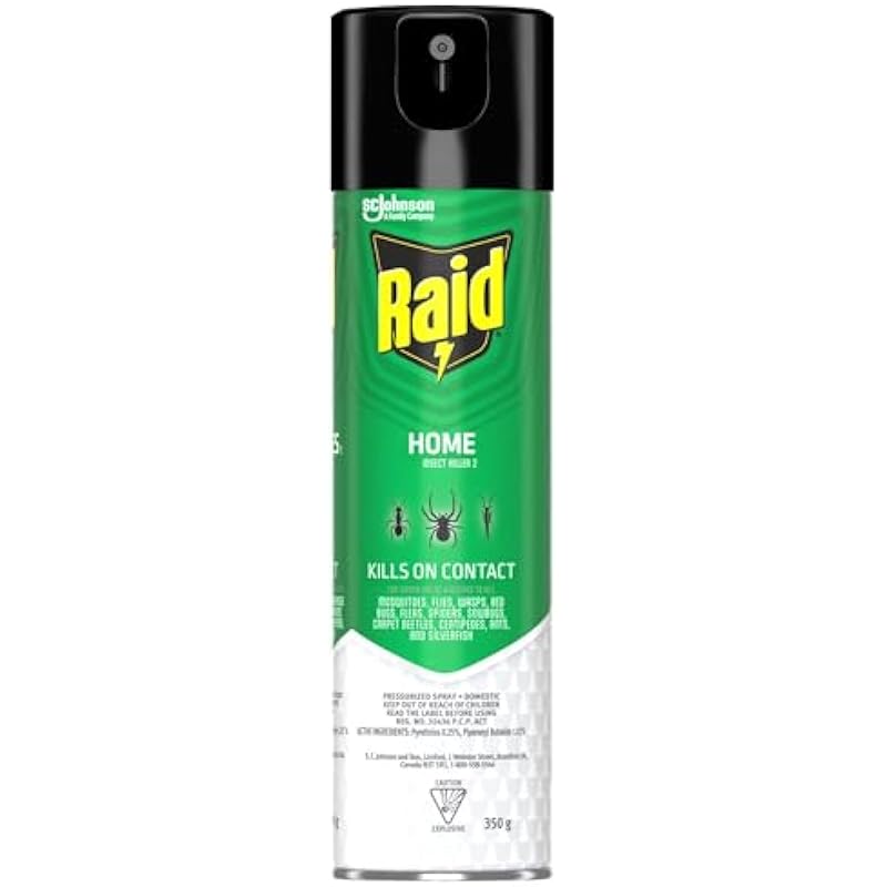 Raid Home Insect Bug Killer and Mosquito Repellent, Kills Listed Bugs on Contact, For Indoor and Outdoor Use, 350g