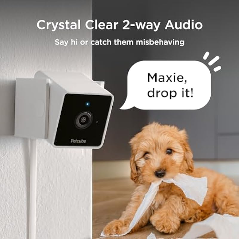 Petcube Pack of 2 Cam Indoor Wi-Fi Pet and Security Camera with Phone App, Pet Monitor with 2-Way Audio and Video, Night Vision, 1080p HD Video and Smart Alerts for Ultimate Home Security