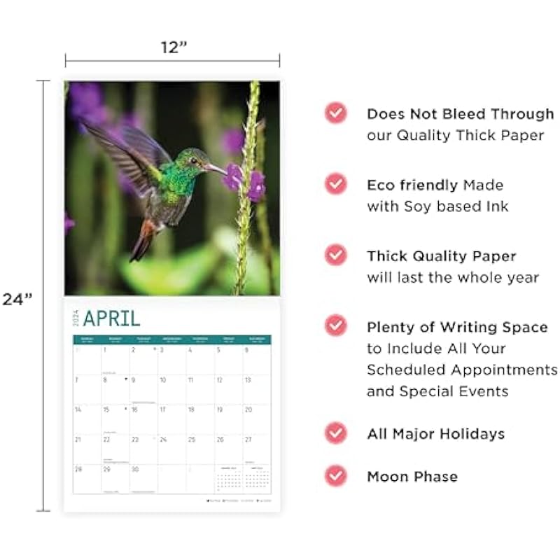 2024 Hummingbirds Monthly Wall Calendar by Bright Day, 12 x 12 Inch