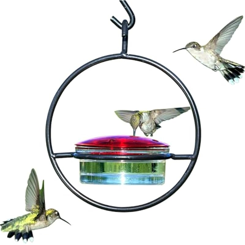 Metal Hummingbird Feeders for Outdoors Hanging Ant and Bee Proof, Small Clear Wild Bird Seed Feeders Unique, Humming Bird Feeder, Window & Garden Hanging Decor, Birthday Gifts for Women & Men