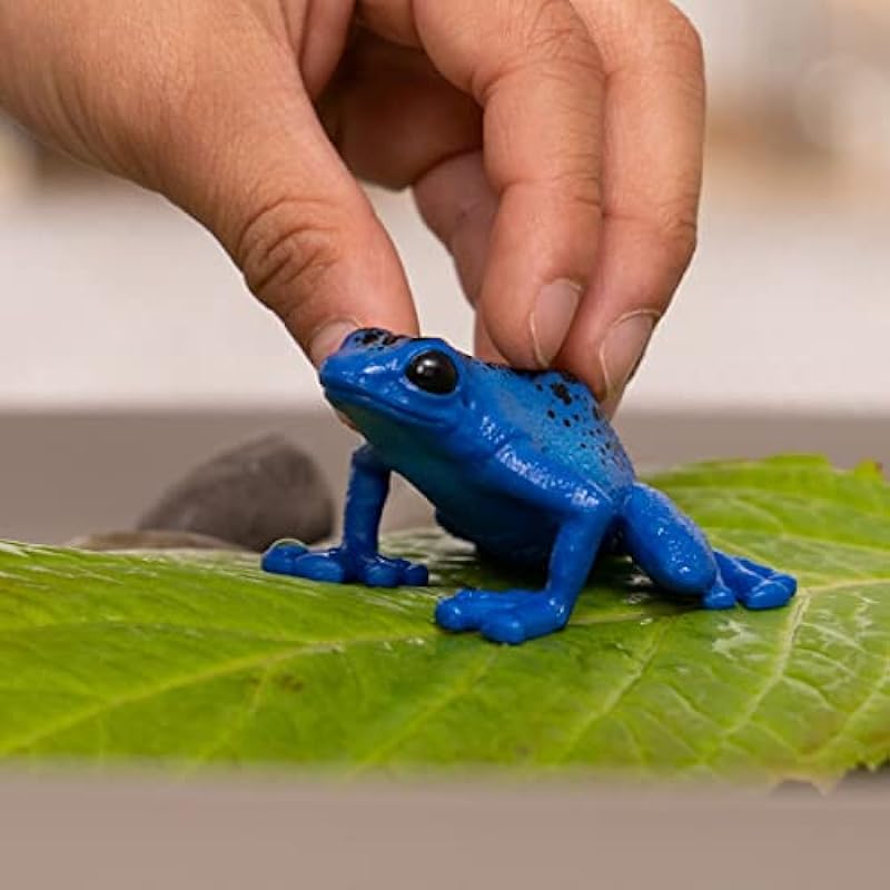 Schleich Wild Life New 2023, Wild Animal Rainforest Jungle Toys for Kids, Poison Dart Frog Toy, Blue, Ages 3+