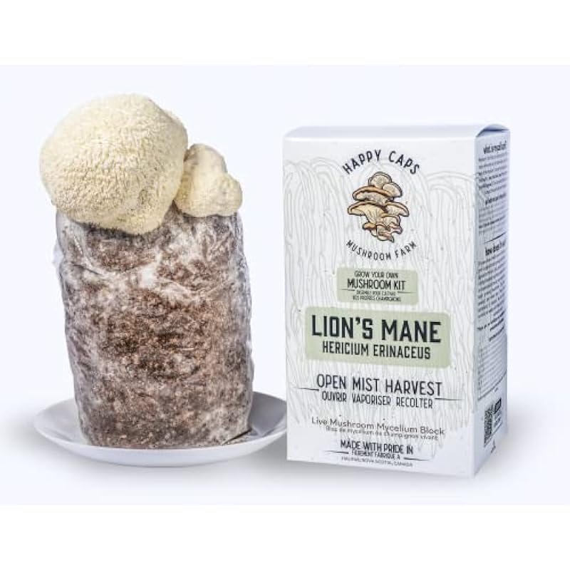 Grow Your Own Organic Mushroom Kit – Lion’s Mane – Indoor Growing Kit by Happy Caps Mushroom Farm