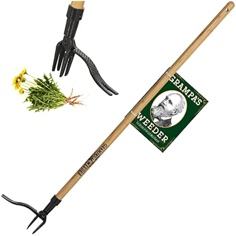 Grampa’s Weeder – The Original Stand Up Weed Puller – Made with Real Bamboo & Steel Head Design – Easily Remove Weeds While Saving Your Knees & Back