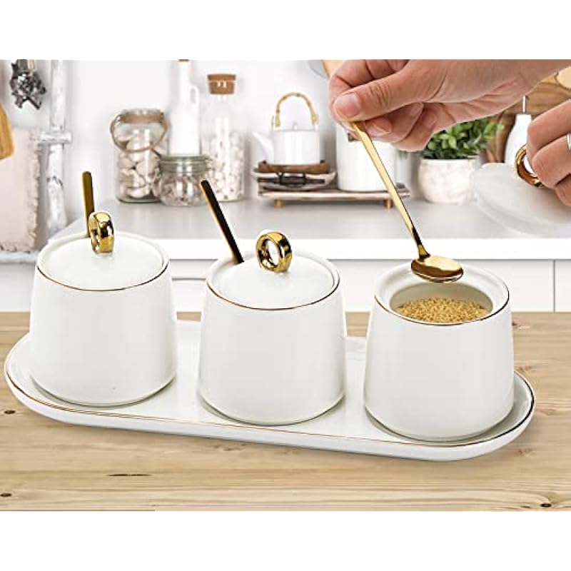 Foraineam Porcelain Sugar Bowl with Lid and Spoon Set of 3, Condiment Jar Coffee Bar Accessories, 8 oz Salt Server Spice Container Seasoning Box with Tray