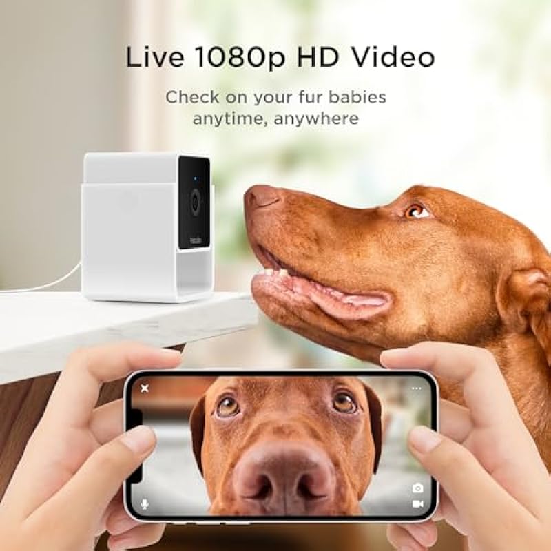 Petcube Pack of 2 Cam Indoor Wi-Fi Pet and Security Camera with Phone App, Pet Monitor with 2-Way Audio and Video, Night Vision, 1080p HD Video and Smart Alerts for Ultimate Home Security