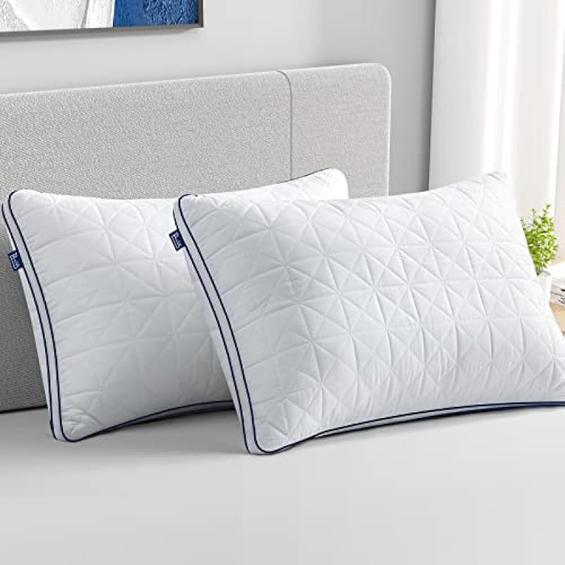 BedStory King Size Pillows 2 Pack, Hotel Bed Pillows for Neck Pain, Oreiller King, Hypoallergenic Pillows for Sleeping, Fluffy Down Alternative Pillows for Side Sleeper, Back, Stomach Sleeper