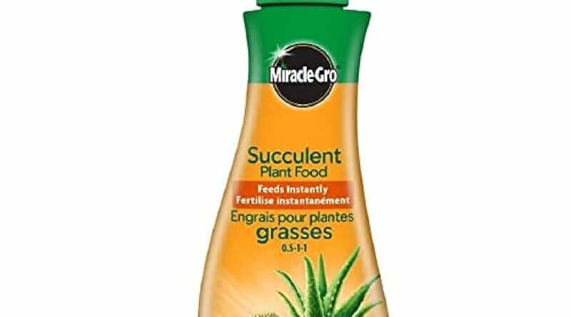 MG Succulent Plant Food, 236ml