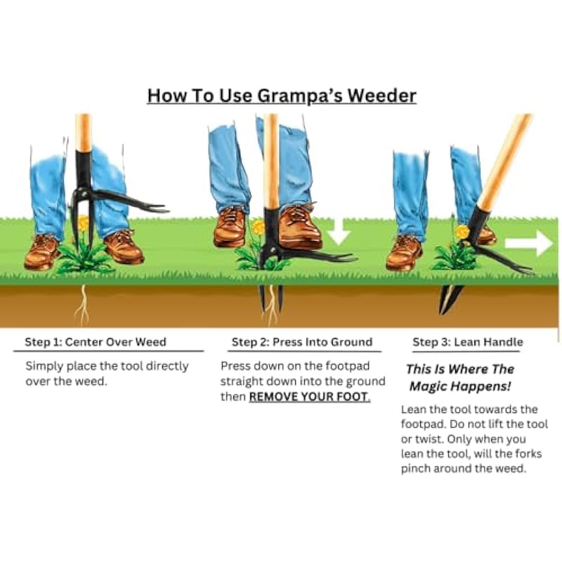 Grampa’s Weeder – The Original Stand Up Weed Puller – Made with Real Bamboo & Steel Head Design – Easily Remove Weeds While Saving Your Knees & Back