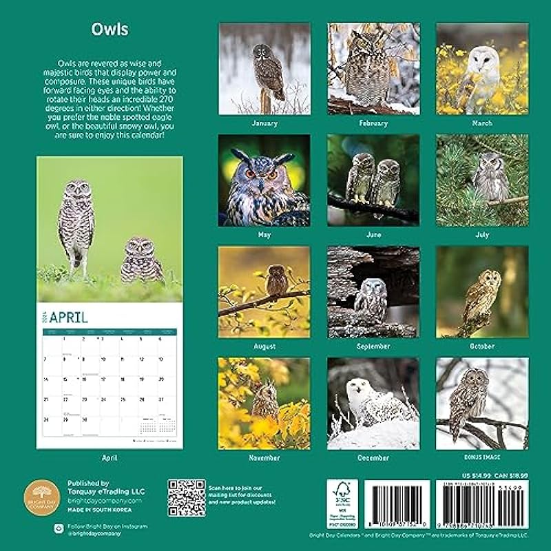 2024 Owls Monthly Wall Calendar by Bright Day, 12 x 12 Inch
