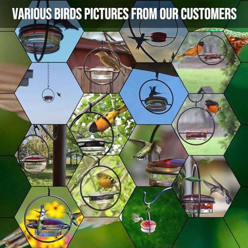 Metal Hummingbird Feeders for Outdoors Hanging Ant and Bee Proof, Small Clear Wild Bird Seed Feeders Unique, Humming Bird Feeder, Window & Garden Hanging Decor, Birthday Gifts for Women & Men