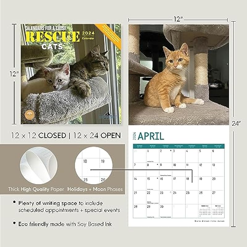 2024 Rescue Cats Monthly Wall Calendar by Bright Day, Calendars For a Cause, 12 x 12 Inch