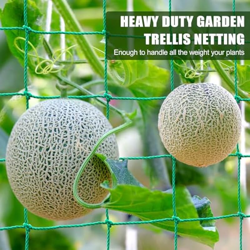 Trellis Netting, 32.8×6.6Ft Garden Trellis Netting for Climbing Plants with 9.85Ft Garden Tie, Plant Netting for Cucumber, Tomato, 27 Strands & 4×4 in Mesh, Grow Net for Vine, Fruit, Vegetable, Bean