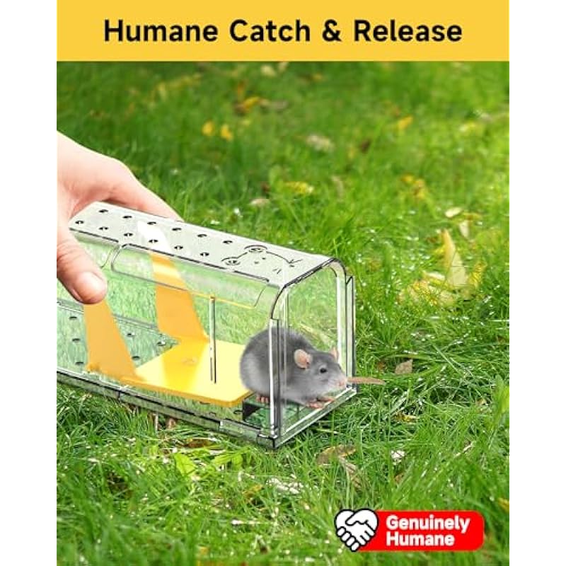 Humane Mouse Traps for Indoor Outdoor: 4 Pack Catch and Release Live Mouse Traps – No Kill Live Mice Trap – Reusable – Safe – Easy to Set & Clean