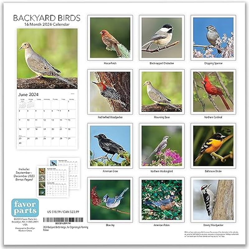 2024 Backyard Birds Hangable Wall Calendar Monthly – 12″ x 24″ Open – North America Beautiful Wildlife Majestic Bird Photo Gift – Forest Birds Nature Photography – Secret Santa Office Gifting for Him Her- Including Cardinal Blue Jay Oriole Sturdy Thick Large Full Page 16 Months for Organizing & Planning