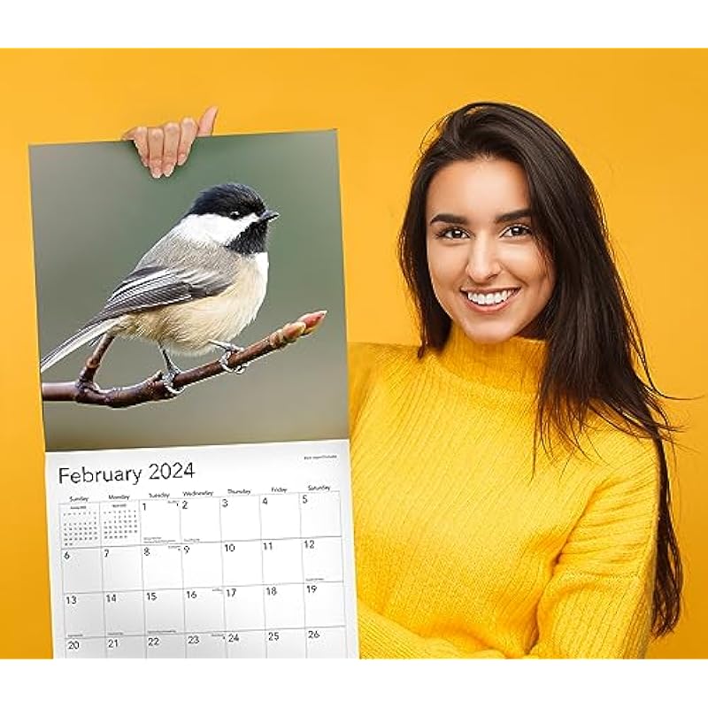 2024 Backyard Birds Hangable Wall Calendar Monthly – 12″ x 24″ Open – North America Beautiful Wildlife Majestic Bird Photo Gift – Forest Birds Nature Photography – Secret Santa Office Gifting for Him Her- Including Cardinal Blue Jay Oriole Sturdy Thick Large Full Page 16 Months for Organizing & Planning