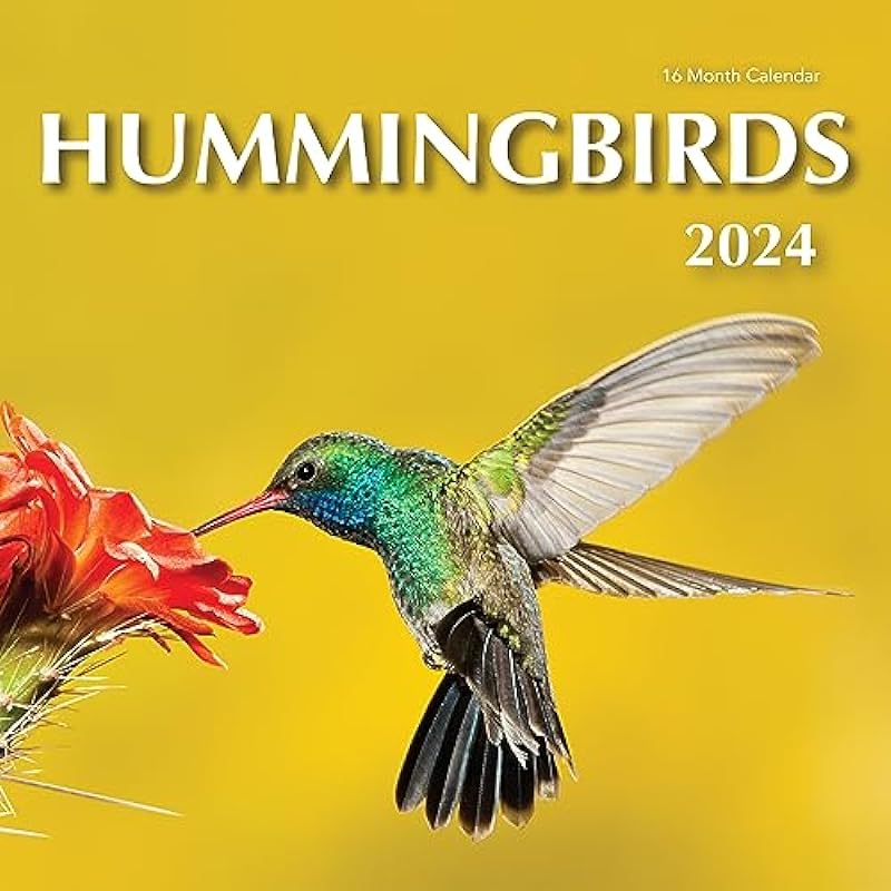 2024 Hummingbirds Hangable Wall Calendar Monthly – Beautiful Wildlife Bird Photo Gift – Birds Nature Photography – Gifting for Him Her- Sturdy 12″ Large Full Page 16 Months Organizing & Planning – Includes 2023