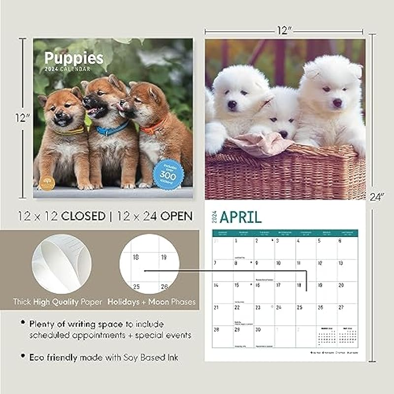 2024 Puppies Monthly Wall Calendar by Bright Day, 12 x 12 Inch