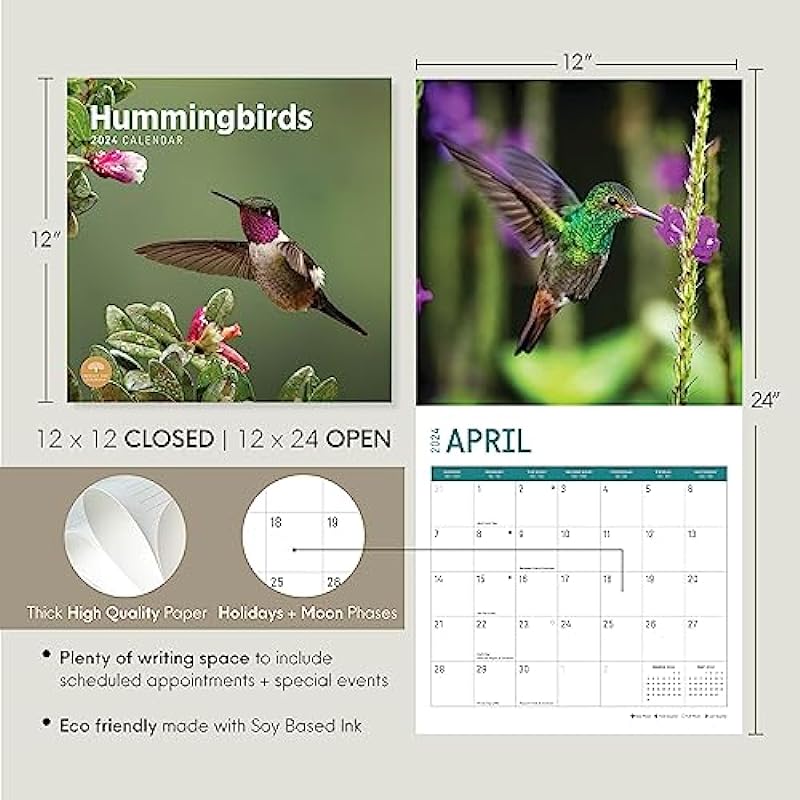 2024 Hummingbirds Monthly Wall Calendar by Bright Day, 12 x 12 Inch