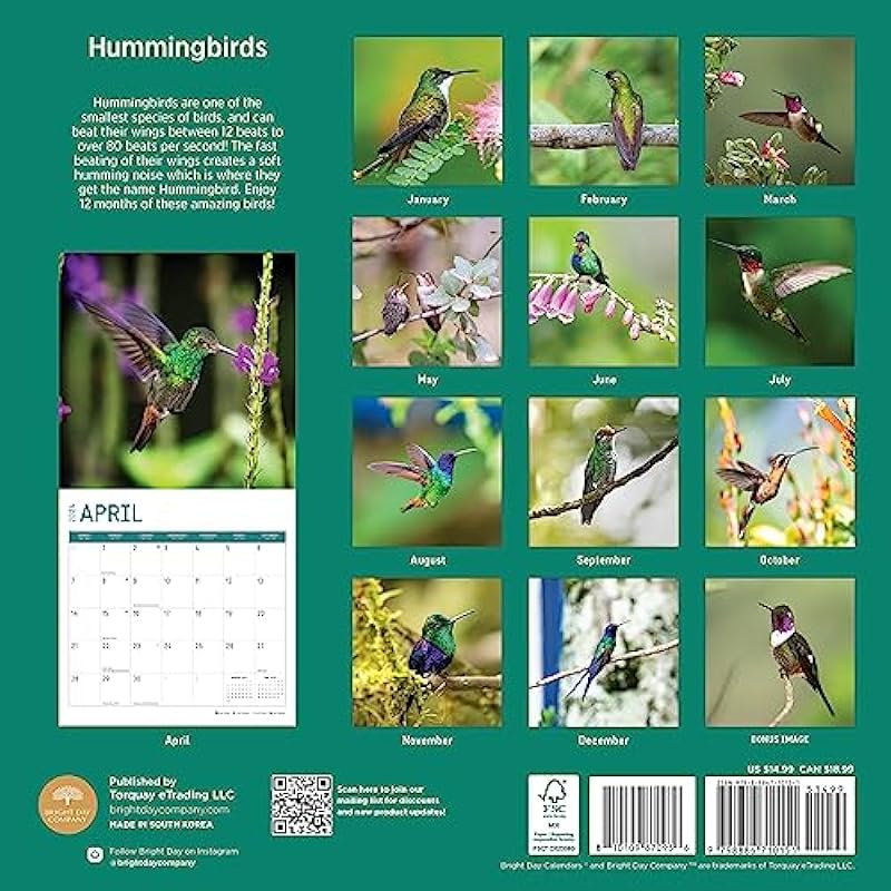 2024 Hummingbirds Monthly Wall Calendar by Bright Day, 12 x 12 Inch