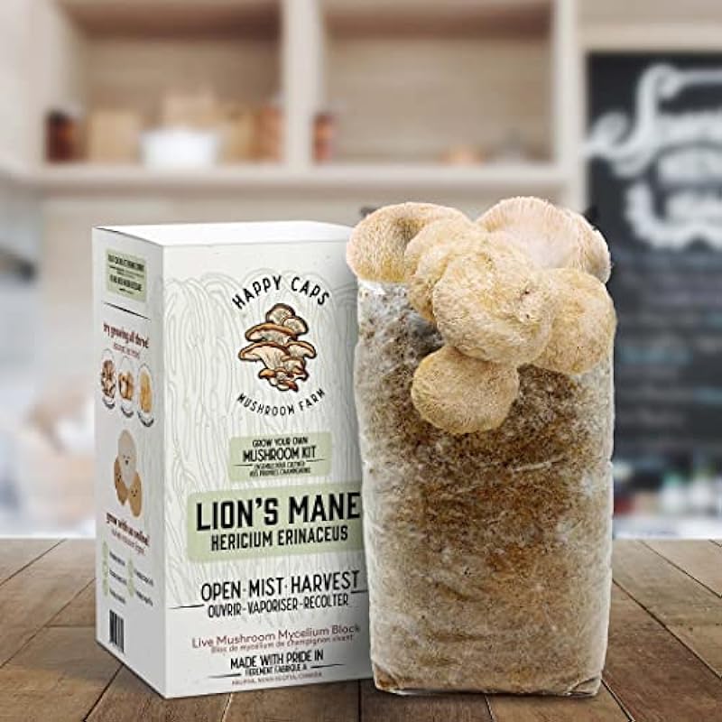 Grow Your Own Organic Mushroom Kit – Lion’s Mane – Indoor Growing Kit by Happy Caps Mushroom Farm