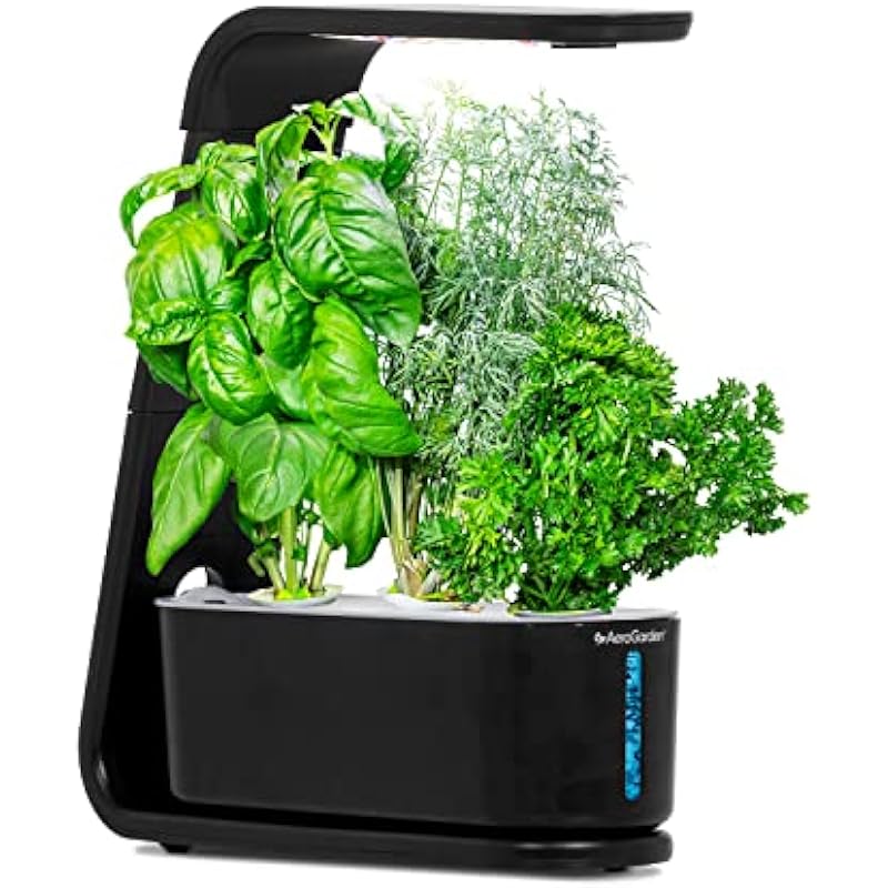 AeroGarden Sprout with Gourmet Herbs Seed Pod Kit – Hydroponic Indoor Garden, Black