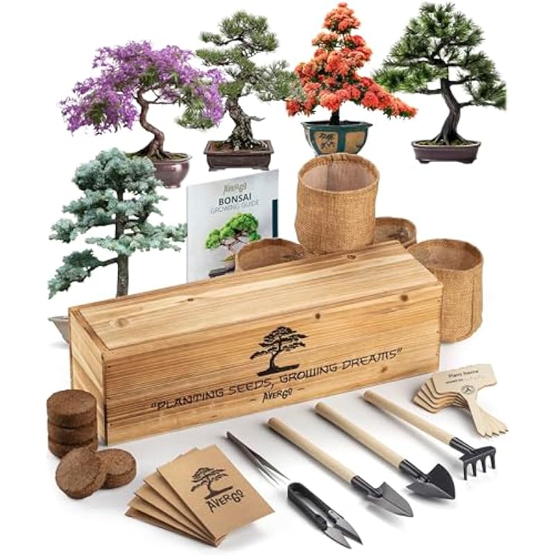 Bonsai Tree Kit – 5X + 1 Unique Japanese Bonzai Trees | Complete Indoor Starter Kit for Growing Plants with Bonsai Seeds, Tools & Planters – Gardening Gifts for Women & Men