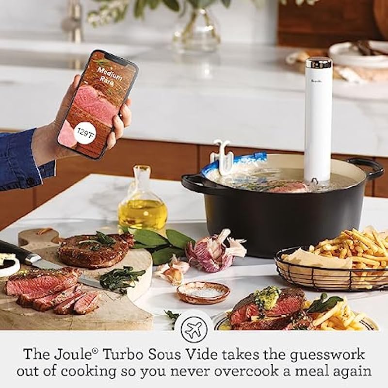 Breville the Joule Turbo Sous Vide, BSV600PSS, Polished Stainless Steel