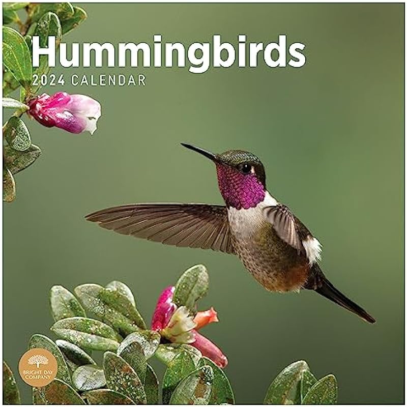 2024 Hummingbirds Monthly Wall Calendar by Bright Day, 12 x 12 Inch