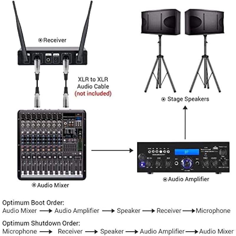 TONOR Wireless Microphone,Metal Dual Professional UHF Cordless Dynamic Mic Handheld Microphone System 200ft(TW-820)