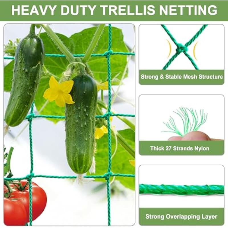Trellis Netting, 32.8×6.6Ft Garden Trellis Netting for Climbing Plants with 9.85Ft Garden Tie, Plant Netting for Cucumber, Tomato, 27 Strands & 4×4 in Mesh, Grow Net for Vine, Fruit, Vegetable, Bean