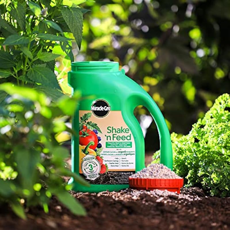 Miracle-Gro Shake N Feed Tomato, Fruits & Vegetables Plant Food – 2.04kg, Green