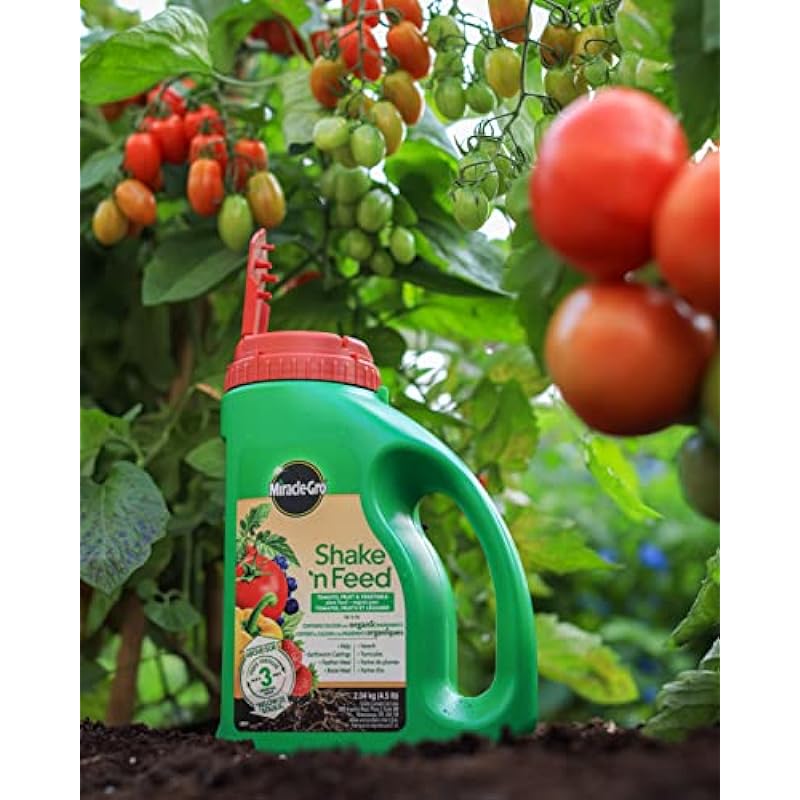 Miracle-Gro Shake N Feed Tomato, Fruits & Vegetables Plant Food – 2.04kg, Green