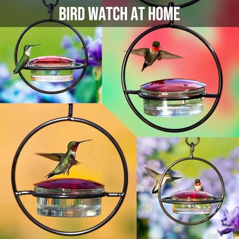 Metal Hummingbird Feeders for Outdoors Hanging Ant and Bee Proof, Small Clear Wild Bird Seed Feeders Unique, Humming Bird Feeder, Window & Garden Hanging Decor, Birthday Gifts for Women & Men