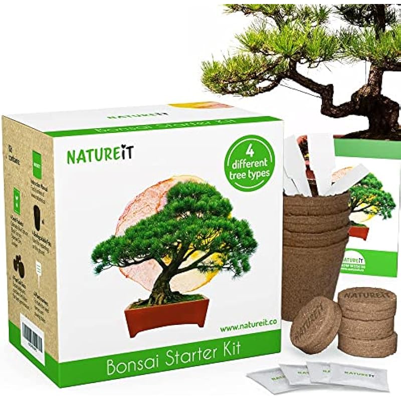 Bonsai Tree Seed Starter Kit – All You Need to Grow 4 Bonsai Trees from Seeds. All-in-One Indoor/Outdoor DIY Beginner Grow kit for Men & Women. Best Gift Idea for Mom and Dad who Have Everything