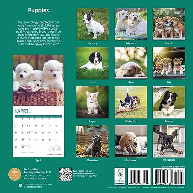 2024 Puppies Monthly Wall Calendar by Bright Day, 12 x 12 Inch