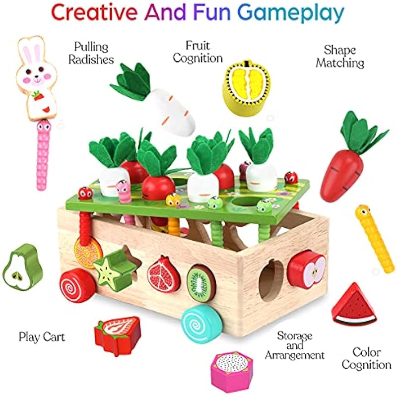 Toddlers Montessori Wooden Educational Toys for Baby Boys Girls Age 2 3 4 Year Old, Shape Sorting Toys Gifts for Kids 2-4, Wood Preschool Learning Fine Motor Skills Game