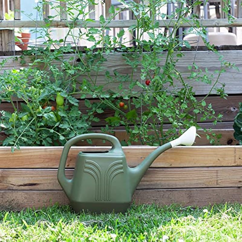 Bloem JW82PROMO-42 Watering Can, 2 Gallon Living Green