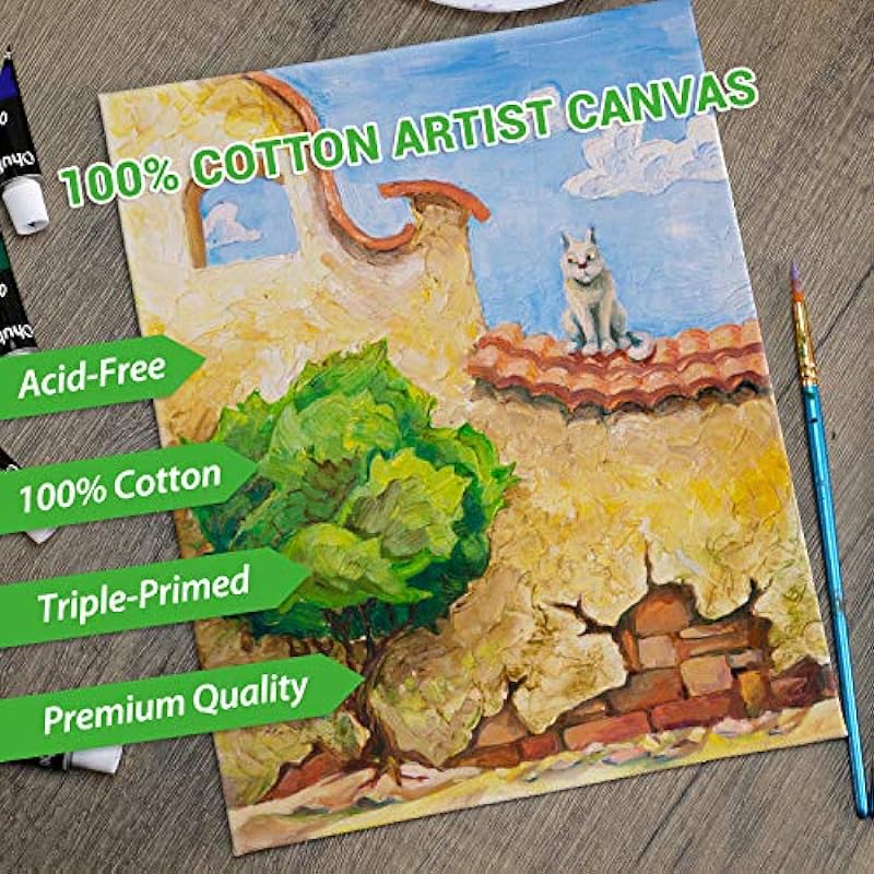 Painting Canvas Panels, Ohuhu 20 Pack 8×10 Inch Canvas Boards Canvases 100% Cotton, Acid Free Primed Canvas Panel, Artist Canvas Boards for Students & Kids, Art Workers, Professional Choice