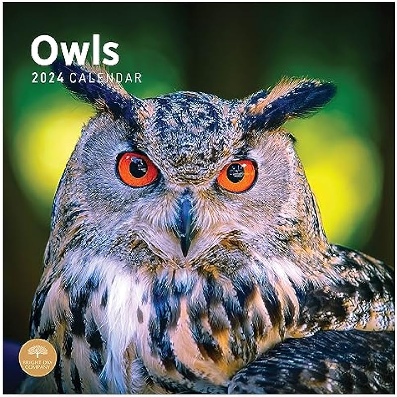 2024 Owls Monthly Wall Calendar by Bright Day, 12 x 12 Inch