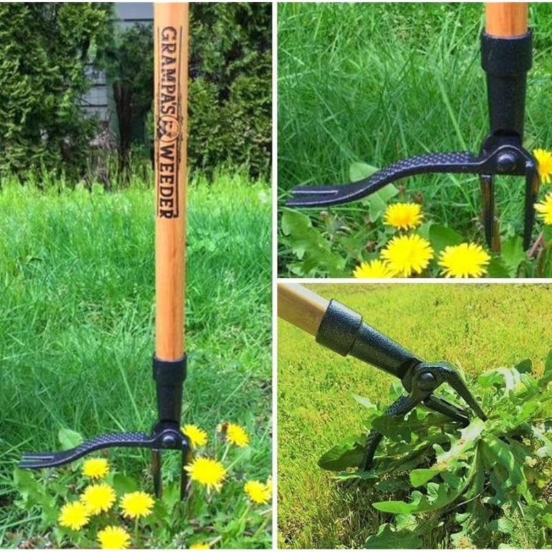 Grampa’s Weeder – The Original Stand Up Weed Puller – Made with Real Bamboo & Steel Head Design – Easily Remove Weeds While Saving Your Knees & Back