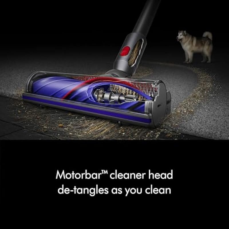 Dyson V8 Plus Cordless Vacuum